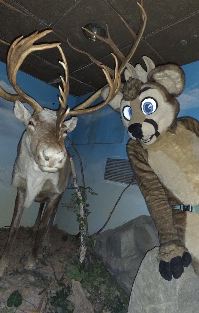 GambleDeer's tweet photo. I forgot which one is me https://t.co/FfknvafXOj