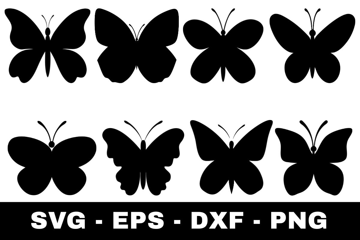WieDigitalArt's tweet photo. ✨ New design alert: Butterfly svg Bundle
Perfect for crafting, apparel &amp; creative projects.
Explore it via the link in my bio.
#DigitalArt #SVGDesign https://t.co/DzyBF3JkdV