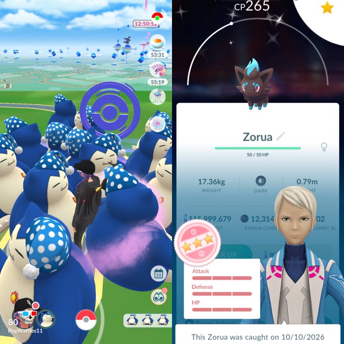 Screenshots from Pokémon GO showing the player surrounded by many Snorlax during a community event, and a caught shiny Zorua with CP 265 dated 10/10/2026.