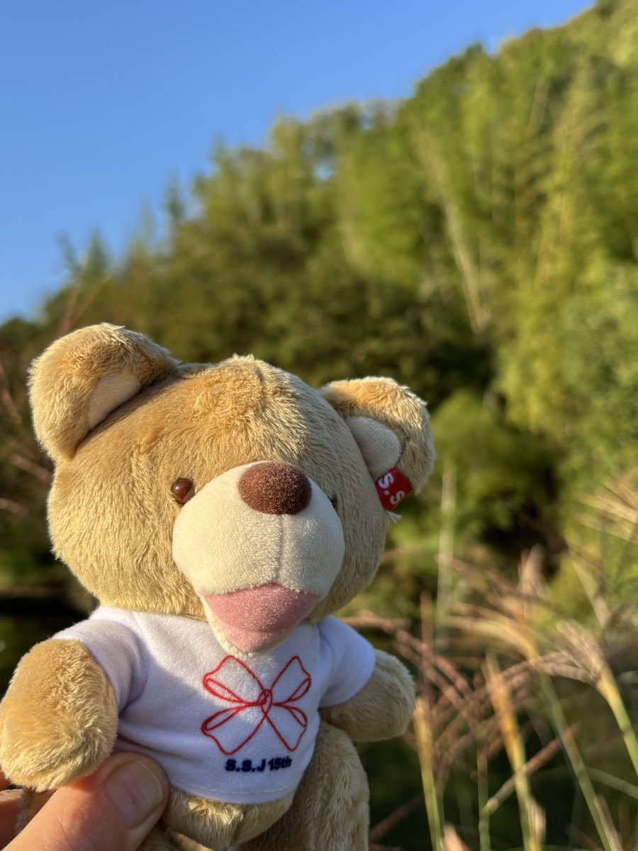 Jun30start's tweet photo. おはよう☀️くま子🧸🎀🤍

陽射しの降り注ぐ、最高の朝✨️

爽やか〜♪️🩵

今日も、淳ちゃん、皆さんにとって、素敵な1日となりますように♡🥰

 #志尊淳 さん
 #SSJ https://t.co/XfKPMaqbPE