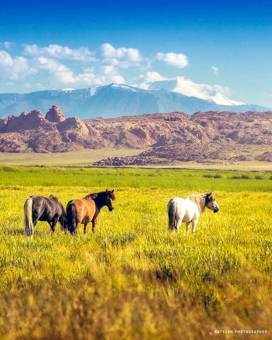 Three horses (two brown and one white) graze in a lush green field with rocky red mountains and snow-capped peaks in the background under a blue sky, credited to 'RATSUK PHOTOGRAPHER'.