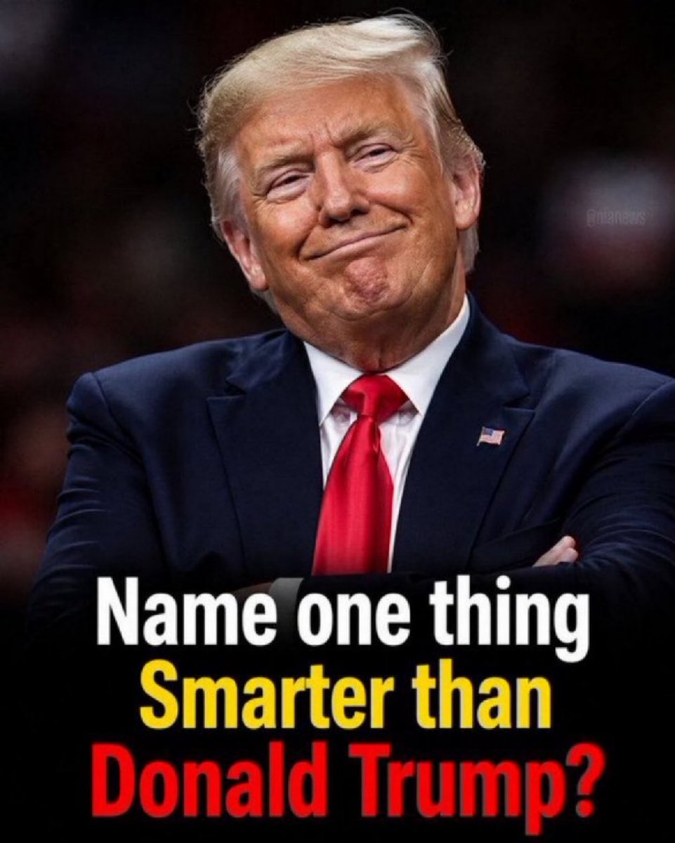 juanchonani1's tweet photo. Name one thing Smarter than Donald Trump?

I bet you can't!....He's defination of perfection!...smart, intelligent, Best president! https://t.co/WZLPPD7klR
