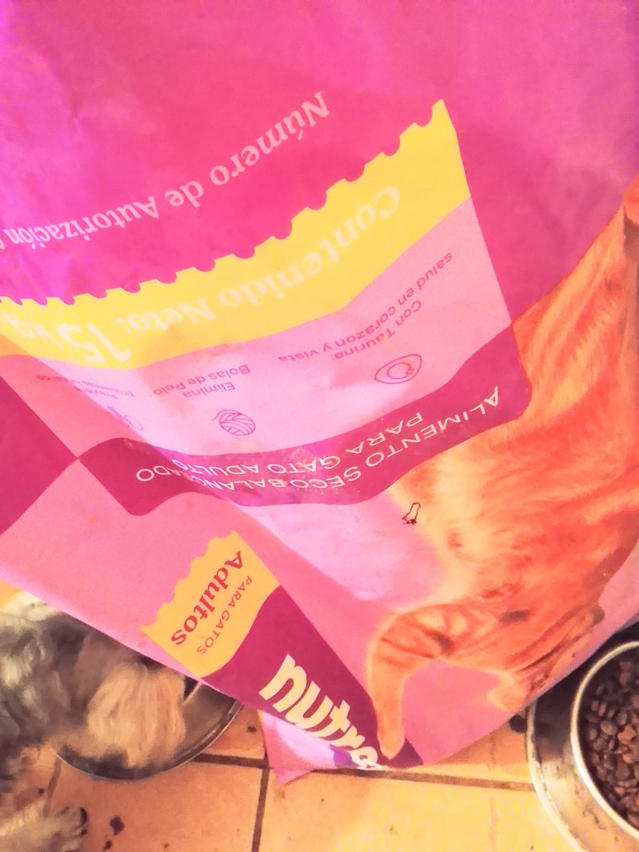 mujersina's tweet photo. Amigos qué susto! Se nos está acabando las croquetas de gato 😬 las donaciones son casi nulas y ya no tengo uñas que morder 😞 nos pueden dar una garrita desde $10 TODO SUMA o en especie, pasamos por ellas 🙏🏻🙏🏻🙏🏻🐾🐾🐾🫂🫂🫂
✨✨✨✨✨✨✨✨✨✨✨✨✨ https://t.co/je0nBtC6aF