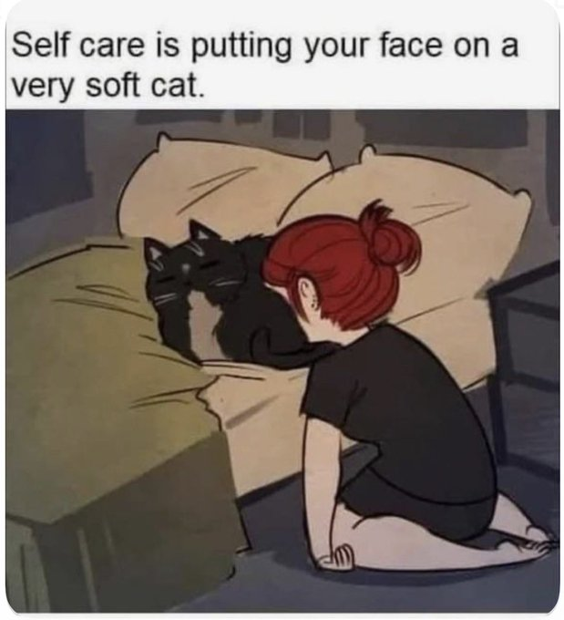 ShortSprings's tweet photo. This is not what comes to my mind whenever I think about burying my face in a kitty... https://t.co/ldRZnG24au