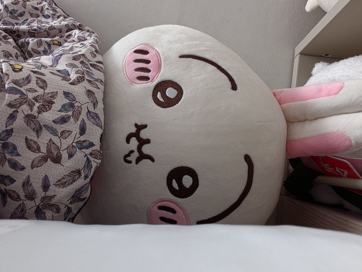 sfogliatine_'s tweet photo. 울라, 야하. 울라하 야하. https://t.co/9R252bnwek