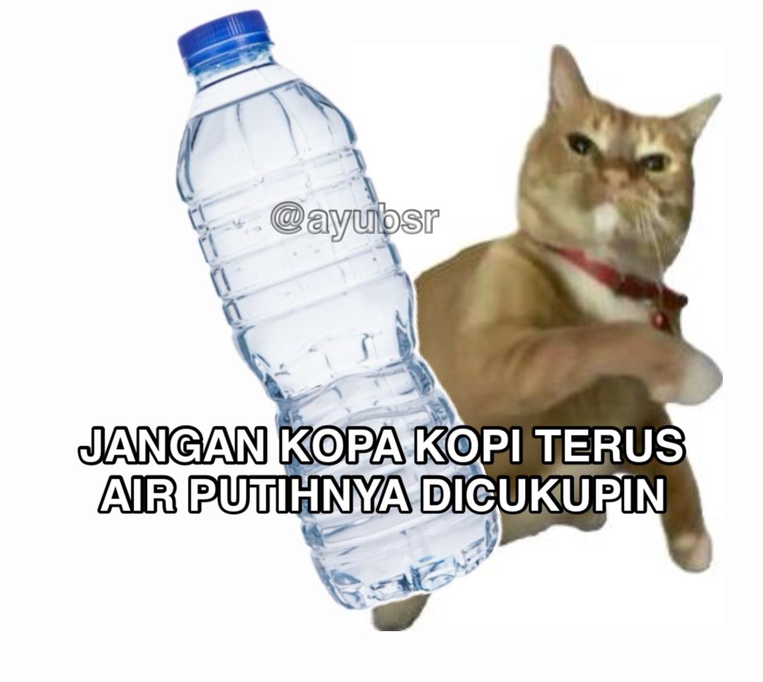 ayubsr's tweet photo. https://t.co/UROVEC2P31