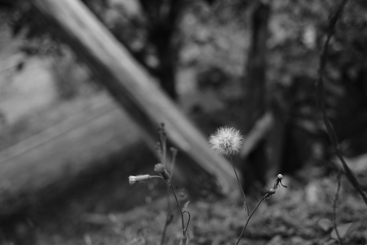 jsantanderbe's tweet photo. Primeras tomas con mi cámara #SonyCamera #SonyImagingEdge https://t.co/hmTb3GlBX1