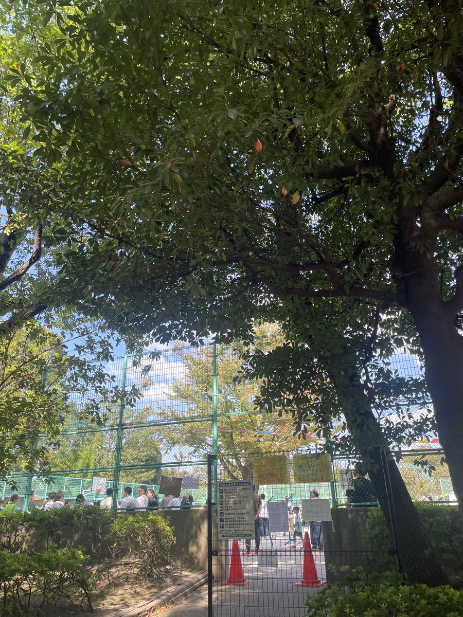 shizusanchi's tweet photo. 昨日は保育園の運動会。今年は公園の球技広場を借りて開催。いい天気で子どもも大人も楽しんでいて、卒園した子、転園した子、かつての保護者、転職した職員、産休中の職員もいっぱい来て本当に楽しかった。ここまで来ると保育園って「社会の実家」なんじゃないかって思う。保育園にもよると思うけど。 https://t.co/Y5thlnApFL