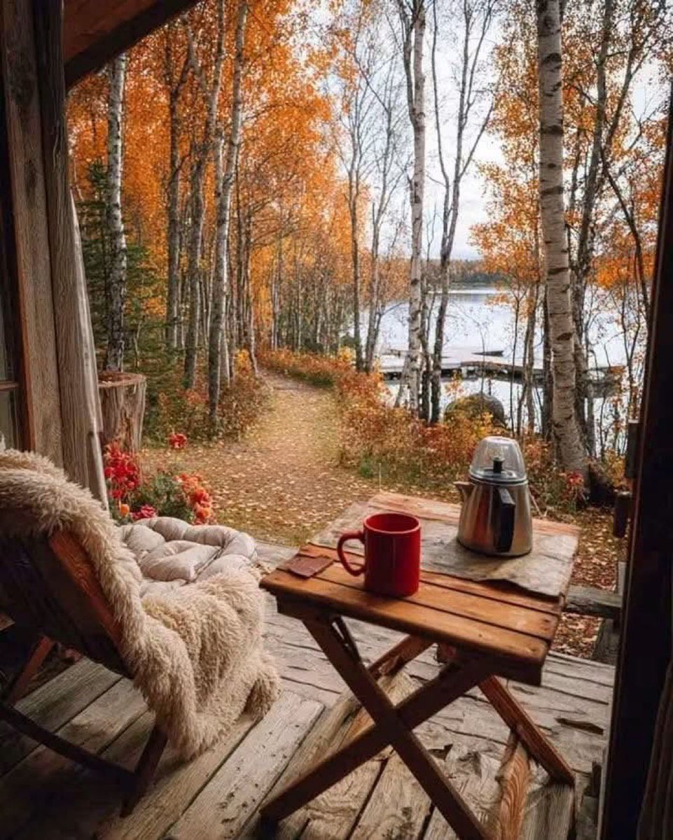 TheNatureeeGirl's tweet photo. Coffee corner https://t.co/PEufvvVLGj