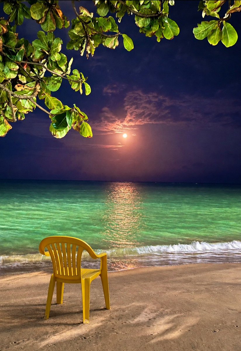 Viviifernande's tweet photo. Era só um cantinho assim em Maceió, uma cadeira de frente para o mar e a lua iluminando a noite. 🌕💛 https://t.co/SYMVYi8qY5