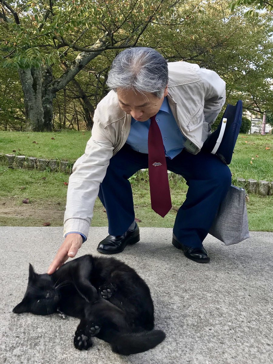 bijutsu1's tweet photo. 時をかける猫ねこ196 "Cats Who Leapt Through Time" (20171011) 

『通勤👮‍♂️🐈‍⬛commute』🎨ちょうど 9年前🎨朝、警備員さんに甘えるケンちゃんでしたニャ。#尾道市立美術館 #尾道 #猫 https://t.co/kSDEAzibfA