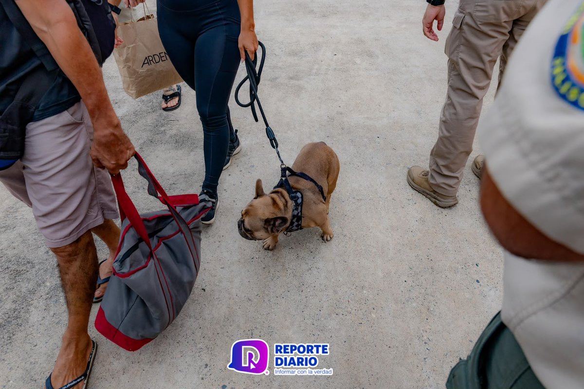 reportediariopv's tweet photo. Con lo esencial en brazos: más de 70 personas llegan a Zona Naval con sus mascotas
Leer nota: https://t.co/kIrloXuGWq
Redacción: César Langarica
📸: César Langarica Santana
#Yelapa #Quimixto #CaboCorrientes #PuertoVallarta #ZonaNaval #IslasMarias #Evacuacion #Mascotas https://t.co/4mY6zADzYQ