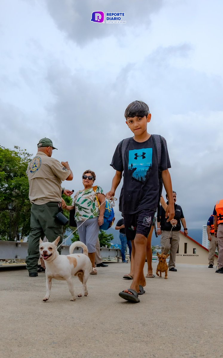 reportediariopv's tweet photo. Con lo esencial en brazos: más de 70 personas llegan a Zona Naval con sus mascotas
Leer nota: https://t.co/kIrloXuGWq
Redacción: César Langarica
📸: César Langarica Santana
#Yelapa #Quimixto #CaboCorrientes #PuertoVallarta #ZonaNaval #IslasMarias #Evacuacion #Mascotas https://t.co/4mY6zADzYQ