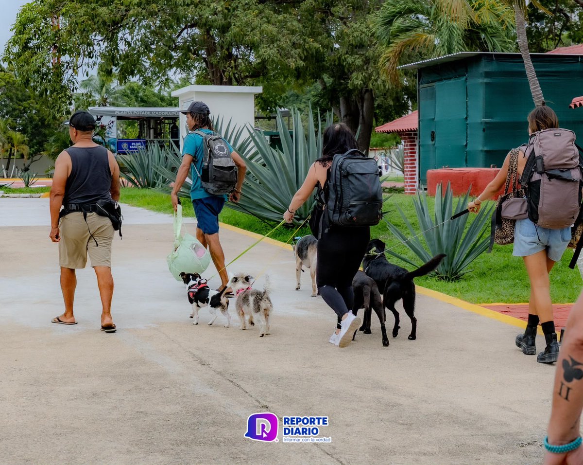 reportediariopv's tweet photo. Con lo esencial en brazos: más de 70 personas llegan a Zona Naval con sus mascotas
Leer nota: https://t.co/kIrloXuGWq
Redacción: César Langarica
📸: César Langarica Santana
#Yelapa #Quimixto #CaboCorrientes #PuertoVallarta #ZonaNaval #IslasMarias #Evacuacion #Mascotas https://t.co/4mY6zADzYQ