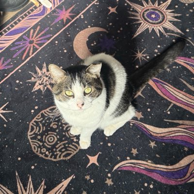 iloveazuler's tweet photo. #NewProfilePic https://t.co/Xz6uhfoJs8
