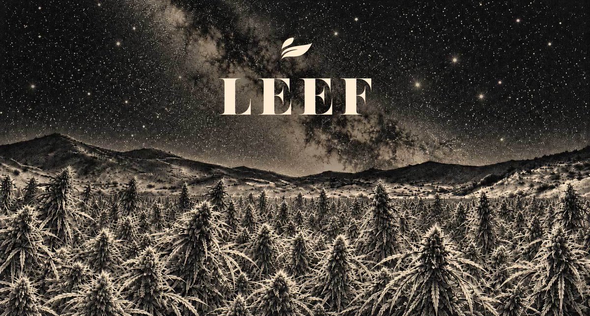 micah_A_leef's tweet photo. .@LeefBrands under the cosmos flying through space at 67,000 miles per hour 🔭🌱🌱🌱 https://t.co/ED48JI02hD