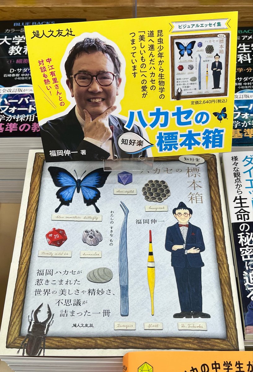 fujinnotomosha's tweet photo. 『ハカセの〈知好楽〉標本箱』が10月10日(土)の『岩手日報』さんでご紹介いただきました！
ご一報くださった東山堂さんにも感謝！！
#福岡伸一 https://t.co/hh7GXLhybV