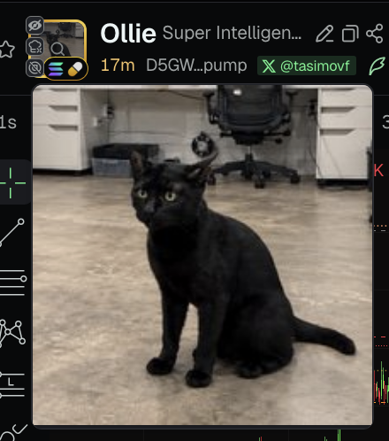 SIXXX_K's tweet photo. GUYS PUT AN AI IN HIS CATS DEAD BODY . actual first solana:9aqmJjCnnMQv42TXLk921ceUkN35nea2QP969n1caqjj  cat ?!!!!

D5GWkj9od5wupHML1npgxCVxTmLy3d5YKVrnx3Lkpump

$OLLIE

first actual AI cat .. actually ... 

MILLIONS https://t.co/LN5SkKBukb