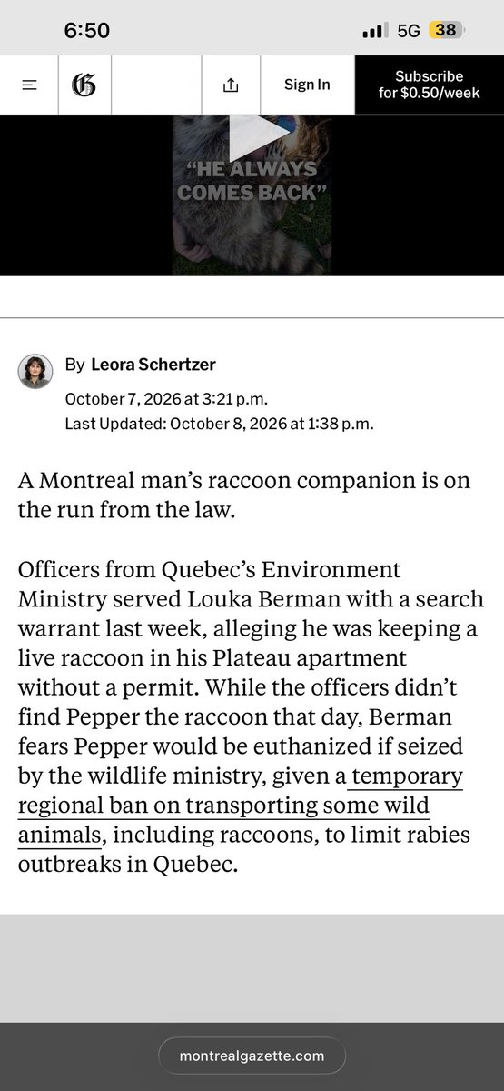 jordnzy's tweet photo. “there is no narrative” they want to take the raccoon bc of a permit. the government does want the raccoon tho https://t.co/m5KKAtDl7i