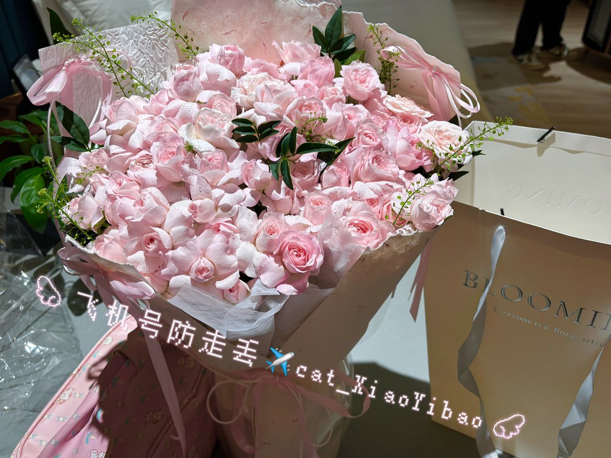feliksbay's tweet photo. 我最喜欢的花就是仙子之吻
哥哥送到我心巴上啦嘿嘿嘿 (ૢ˃ꌂ˂⁎)
花花超级香嘟  还有手提袋  这个大小刚好可以带走嘻嘻嘻
醒了之后就睡不着了  唉呀(｡•́__ก̀｡)
另外 展示一下我比较愿意搭理的✉️
请按照这个格式来发我哦✧(◍˃̶ᗜ˂̶◍)✩ https://t.co/Yu3Lfhrcgj