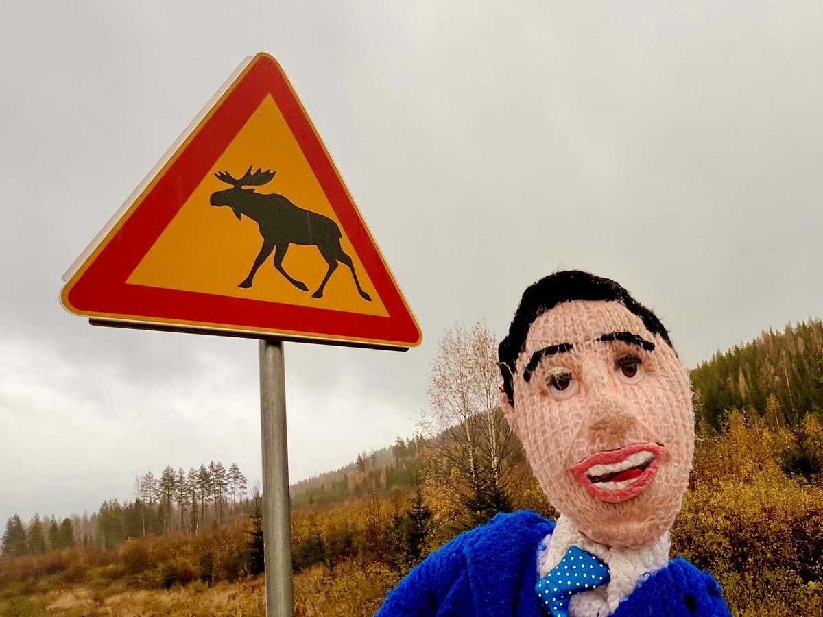 jimmycarr's tweet photo. Thanks for coming and having a laughing with me Finland. I’ve had a great few days here, finishing up tonight at the House of Culture in Helsinki. See you on my next tour 🇫🇮 Next stop for me is Canada, for shows in Ontario and Quebec. Click on the link for cities, dates and tickets 🇨🇦 https://t.co/H8IQj9HFiF