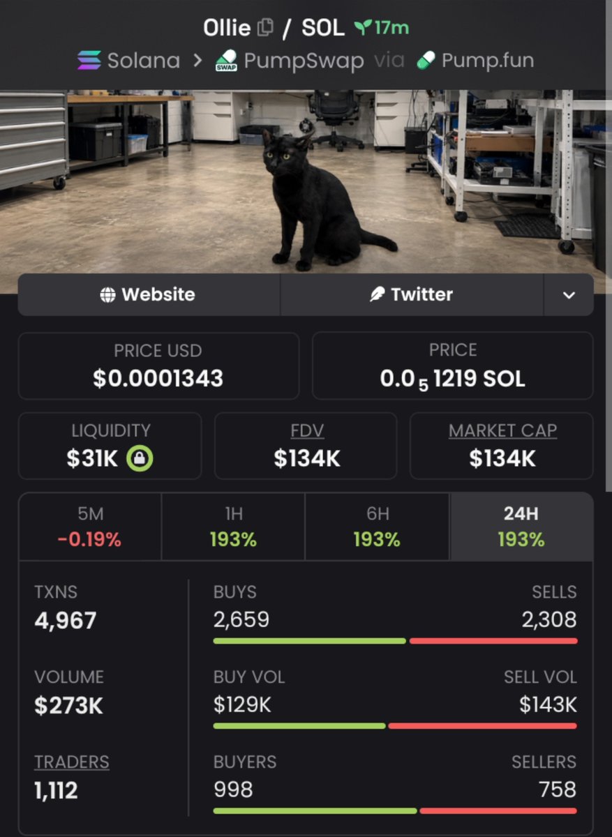 Strong69107's tweet photo. 3.1x from my $Ollie call. 🚀🔥

Spotted it early. Knew the momentum was coming. 📈

CA: D5GWkj9od5wupHML1npgxCVxTmLy3d5YKVrnx3Lkpump

Dm me to join my private tg 
https://t.co/6KlAQ5LwVc

#Solana #SolanaMemecoins #Memecoin https://t.co/cGQD8Wdpn8