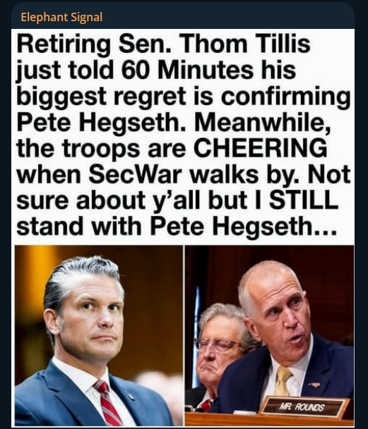ElephantSignal's tweet photo. 🚨BREAKING:

“Retiring Sen. Thom Tillis just told 60 Minutes his biggest regret is confirming Pete Hegseth. Meanwhile, the troops are CHEERING when SecWar walks by. Not sure about y’all but I STILL stand with Pete Hegseth...”

RETIRING SENATOR THOM TILLIS ATTACKS DEFENSE SECRETARY PETE HEGSETH AS PATRIOTS AND TROOPS STAND FIRM WITH SECDEF!

Are you sick and tired of establishment politicians attacking Trump's Cabinet after retiring from office?