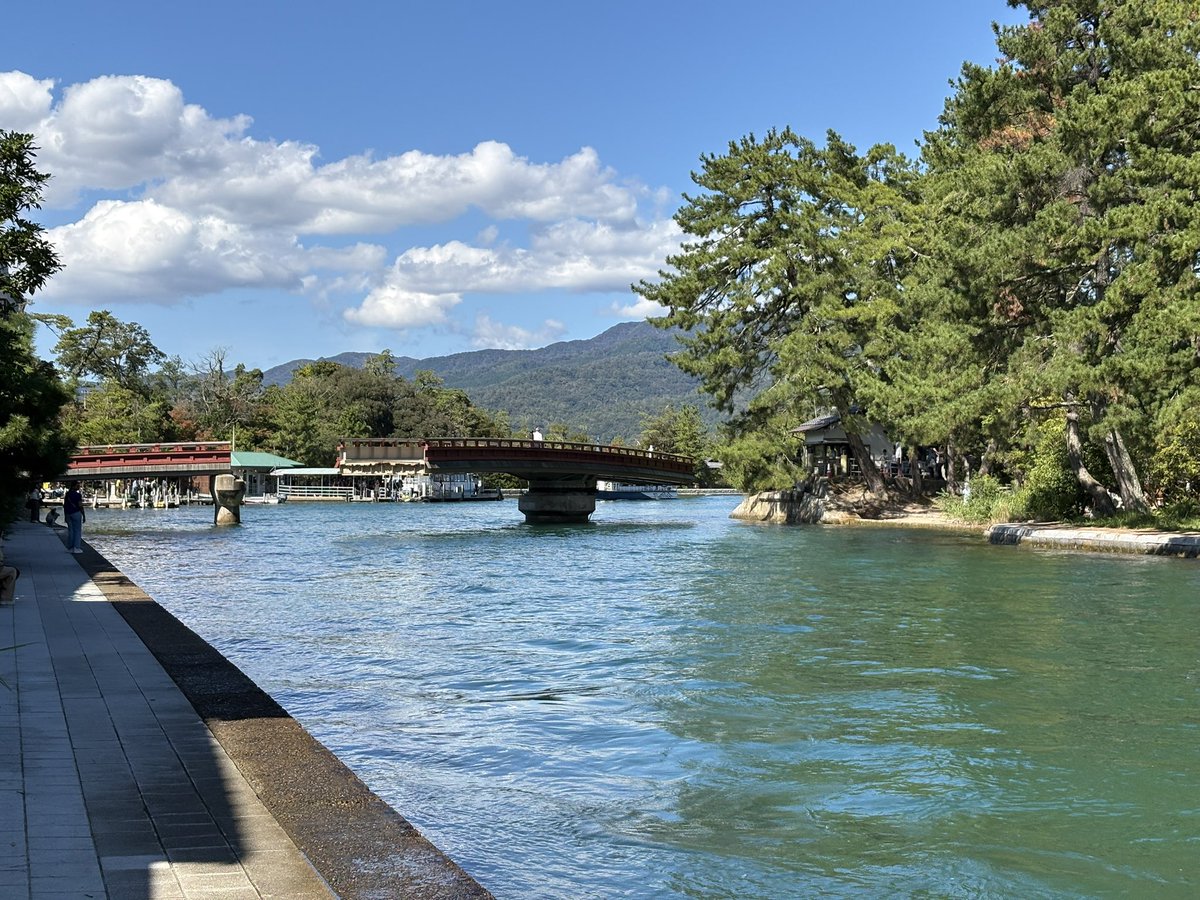 KT85205597's tweet photo. 廻旋橋(小天橋)
橋が回転して船が通れるようにするというヤツ。昔は人力で回転させてたそう。
傘松観光モーターボート文殊営���所からモーターボートに乗りました。
早くて楽しかったです。
片道1人600円で思ったより安い。
#天橋立 #傘松観光モーターボート https://t.co/LSqBfGqgHG