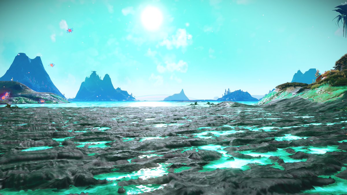 IntimateShine's tweet photo. I have never seen anything like this in game...

#neoterracollective #nomanssky https://t.co/lBOTplRddK
