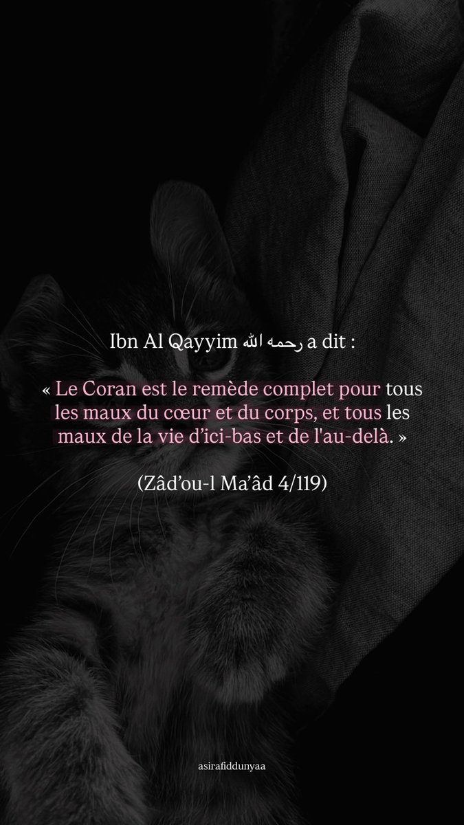 bintalkurdiyyah's tweet photo. https://t.co/DsHNZmOLxv