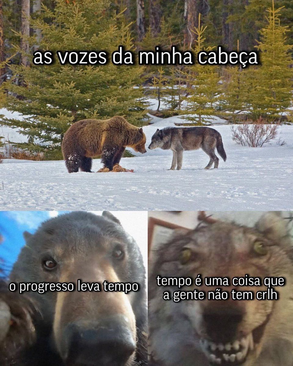 jpeg_memez's tweet photo. https://t.co/GmNOxBa24l