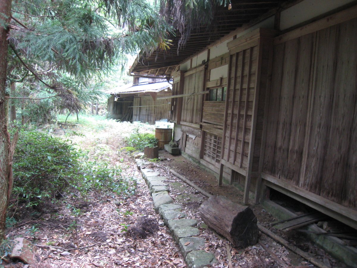giroll's tweet photo. 2021年の探索写真
ここの集落集合ハケ発見して何度も通いました
深く掘るとホーカー液が出ました
茸はムレオオイチョウタケ
(ムレ)は不快臭があり微毒？食べられない
ムレじゃなければ可食
いい香りの菌臭があったんだけど僕には同定不可能
カップ麺の前にシケモク…最低だ！
僕は吸いませんよ https://t.co/RneFvEeYGO
