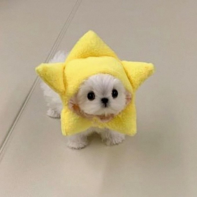 deybsonsilva's tweet photo. ここまで焦るの、ロルバ処理がクッソ面倒だからなんやろなという思い
マチラなんかもうロルバするつもりなかったからあんなに対応遅かったんだろ　別にユーザーが得しないし運営が損しないし https://t.co/LLtDOBQCMI