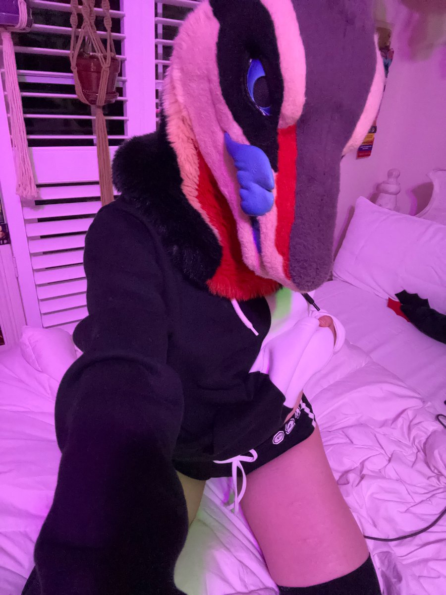 _Hawk_AD_'s tweet photo. I really like these shorts

Also erm Skank is supposed to stay off this account but I don’t have the fursuit head I normally take these kinds of pics in so.. if you recognize him no you don’t https://t.co/vcul90YN1q