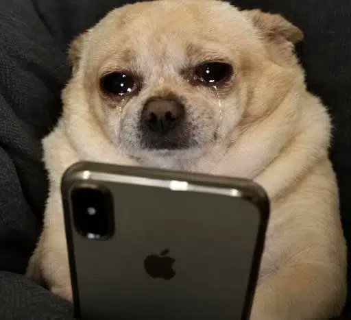 starcatcher444's tweet photo. How it feels to wake up in the morning and scroll @showtime_cap's ALLINU NFT collection 😭🥲 https://t.co/msq6gHpm50