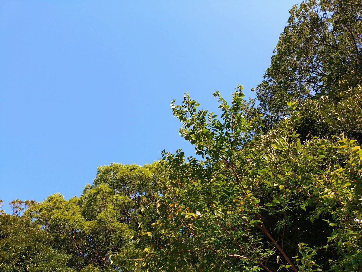OKRAKUSAN's tweet photo. お墓参り。
いい天気です☀️ https://t.co/sEHSJVesJE