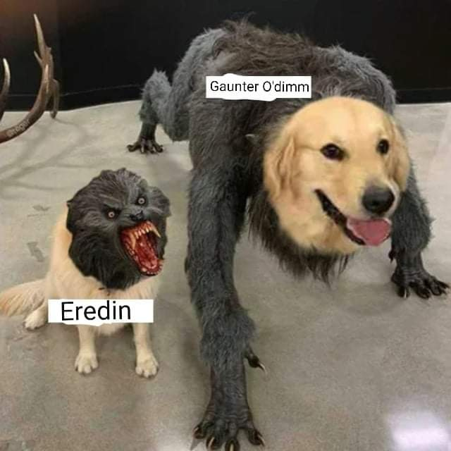 WitcherHour's tweet photo. Accurate 🤣 #witcher3
Source: reddit https://t.co/ink8f5MAKJ