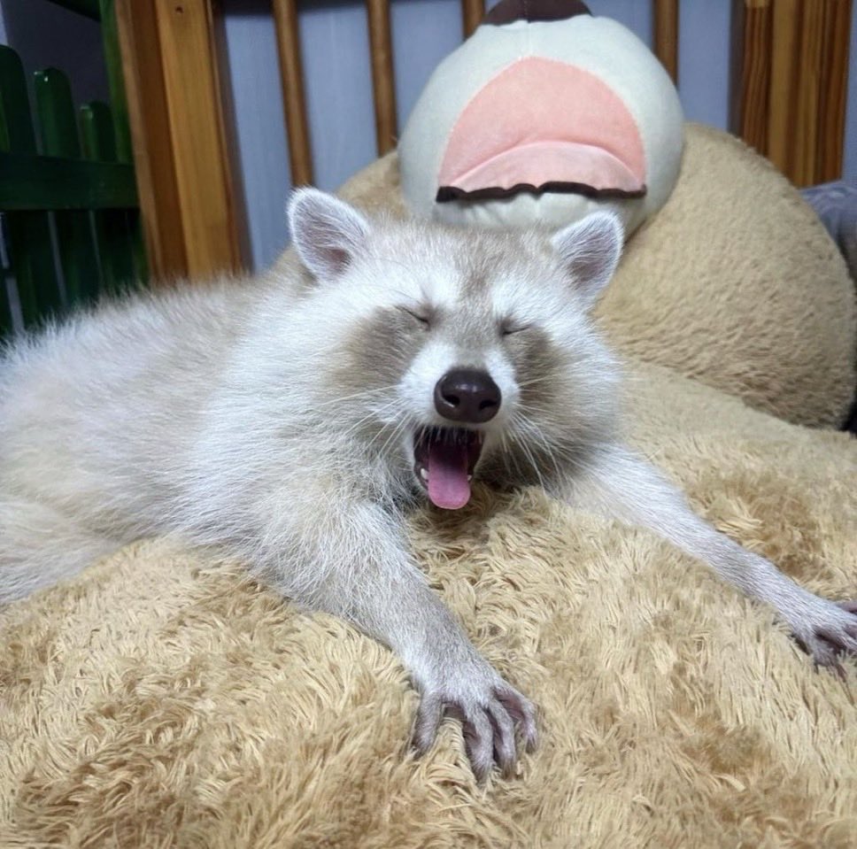 tsubutsububeans's tweet photo. ついった上の言葉が過激さだけをどんどん増してもうてて、ほんまかなんなやで https://t.co/dQIL32mtDe