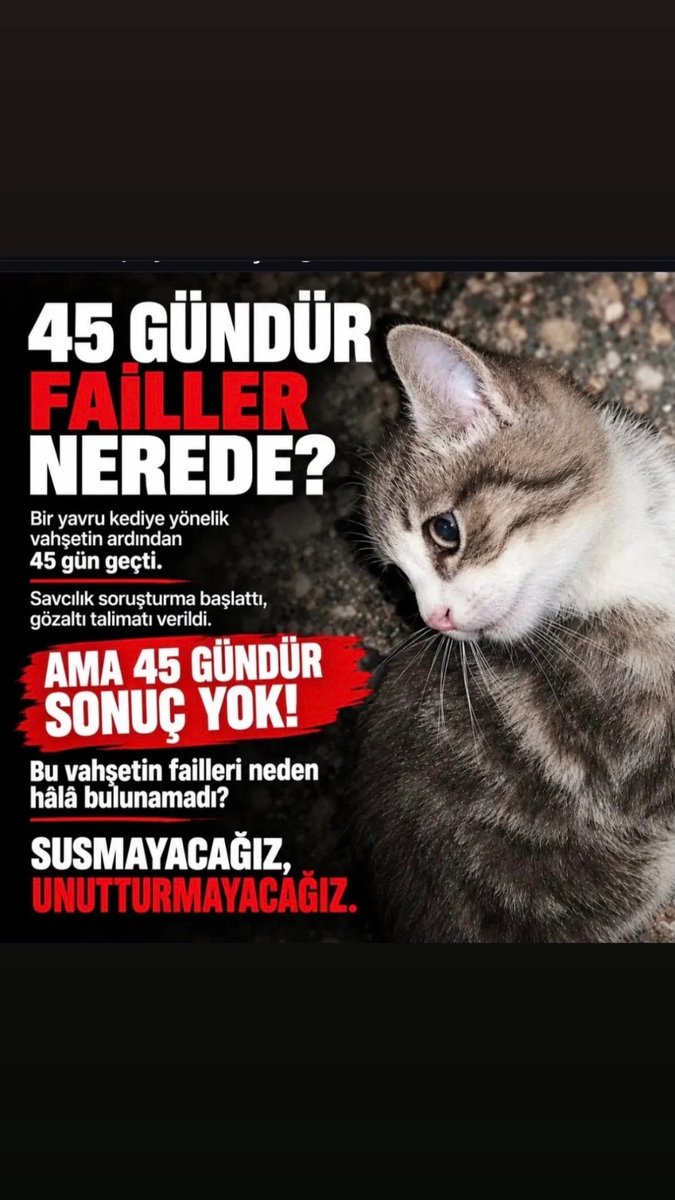 AvGulcinYapici's tweet photo. @TC_icisleri @EmniyetGM @mustafaciftcitr @abakingurlek 

#MinikKediyiUnutmadık 

Toplumun vicdanını sesini susturamazsınız https://t.co/JF9agQpxt7