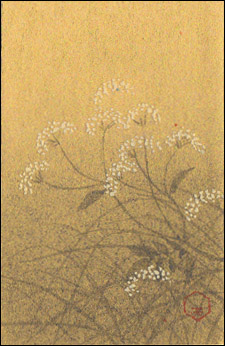 tanjyouka's tweet photo. １０月１１日の誕生花

【女郎花／おみなえし】
花言葉：親切：

秋の七草。万葉、古今、徒然草など、詩や随筆集にちょくちょく登場。日当たりの良い野山が好きで、黄花の明るさが、秋を優しく彩ってくれるのです。咲く前の蕾の群れも非常に綺麗。 https://t.co/fDk92W6fAe