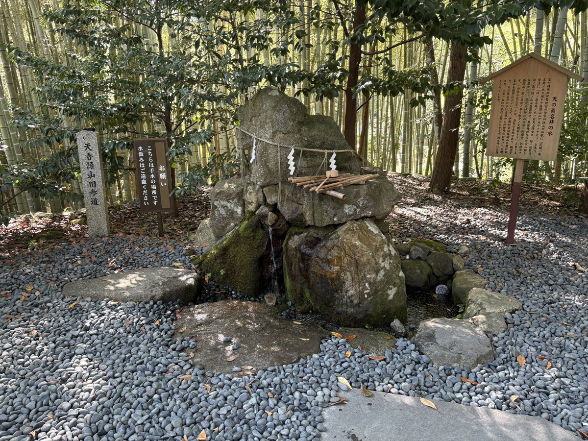 KT85205597's tweet photo. 天橋立駅から見て向こう側にモーターボートで移動して、まずは神社へ。
元伊勢籠神社と眞名井神社(籠神社奥宮)。
元伊勢というぐらいなので、神聖な雰囲気から違いました。どちらも途中から撮影禁止。
#元伊勢籠神社
#眞名井神社 https://t.co/8M1ZTtPbWW