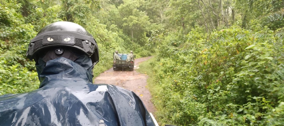 SSPGro's tweet photo. Continúan las labores de seguridad y búsqueda de personas reportadas como no localizadas en la Sierra de Guerrero.

Elementos de la Policía Estatal, en coordinación con el Ejército Mexicano, integrantes de la Base de Operaciones Interinstitucional Fresnos de Puerto Rico, mantienen recorridos motorizados y reconocimientos a pie en comunidades de Ajuchitlán del Progreso.

Las acciones se desarrollan en Fresnos de Puerto Rico, Mesa de Cerro Azul, Campo Verde y La Trinidad, como parte del operativo de búsqueda de personas.

El despliegue continúa activo para apoyar las labores de localización, reforzar la presencia institucional y brindar seguridad a las comunidades de la Sierra.

Protegiendo a Guerrero, cercanos a ti.