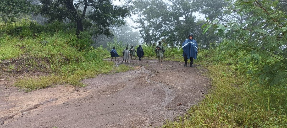 SSPGro's tweet photo. Continúan las labores de seguridad y búsqueda de personas reportadas como no localizadas en la Sierra de Guerrero.

Elementos de la Policía Estatal, en coordinación con el Ejército Mexicano, integrantes de la Base de Operaciones Interinstitucional Fresnos de Puerto Rico, mantienen recorridos motorizados y reconocimientos a pie en comunidades de Ajuchitlán del Progreso.

Las acciones se desarrollan en Fresnos de Puerto Rico, Mesa de Cerro Azul, Campo Verde y La Trinidad, como parte del operativo de búsqueda de personas.

El despliegue continúa activo para apoyar las labores de localización, reforzar la presencia institucional y brindar seguridad a las comunidades de la Sierra.

Protegiendo a Guerrero, cercanos a ti.
