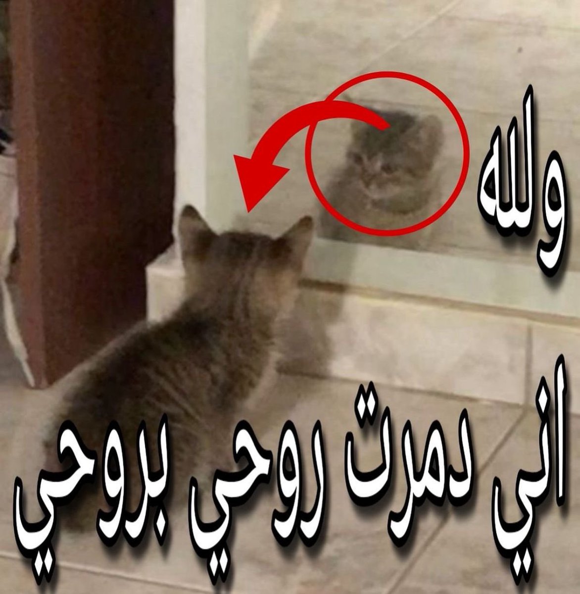 7ab1ii's tweet photo. بكرا عندي دوام وشربت قهوه طار النوم https://t.co/ZO6rppOZ4L