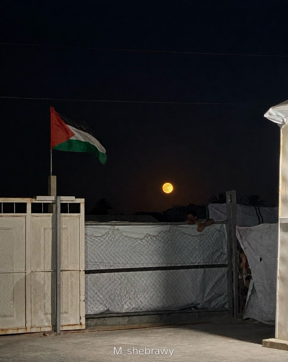 MuhammadSmiry's tweet photo. Never stop talking about Gaza. https://t.co/B9X3JhX6h8