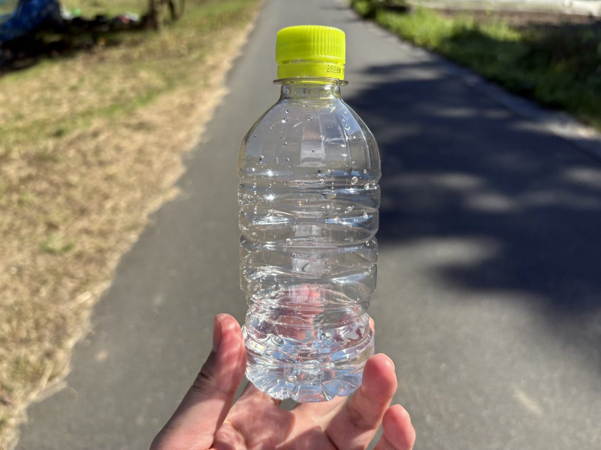 KT85205597's tweet photo. 真名井神社で「天の真名井の水」をいただきました。「おら、なんか元気になってきたぞ」
天橋立リフト府中駅からリフトで傘松公園へ。今度は駅とは反対側から天橋立を楽しみました。
帰りはケーブルカー。
#傘松公園 #傘松公園スカイデッキ https://t.co/z6aljwdnhN