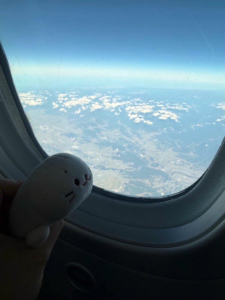 shirochans2024's tweet photo. お空の旅きゅ！
わくわく✈️
富士山見えるかなきゅ☁️⛰️
#shirotan #旅するしろたん https://t.co/LwmHQpkeoC