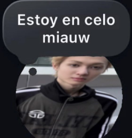 coolwithjjuu's tweet photo. @miilvzhao Estoy en celo miauw https://t.co/3Q0KyVubDB