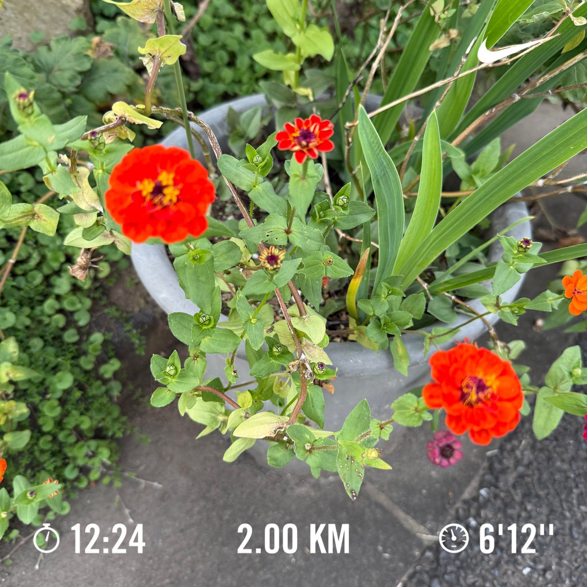 runrunrunning21's tweet photo. ランニング🏃　#861走目 https://t.co/nVkboRgBh6