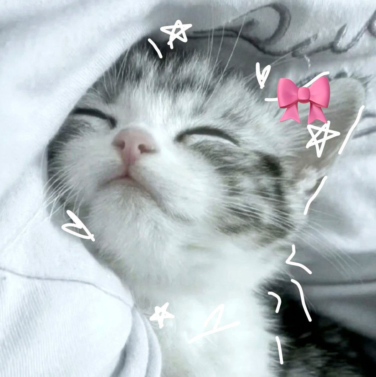 lhisa_95's tweet photo. かぐや姫観たことないけど、ヤニ猫で下痢演技してる声優さんと同じって知ってから観たくなってきたな
声優さんってすごい https://t.co/eEc8yxE6E4